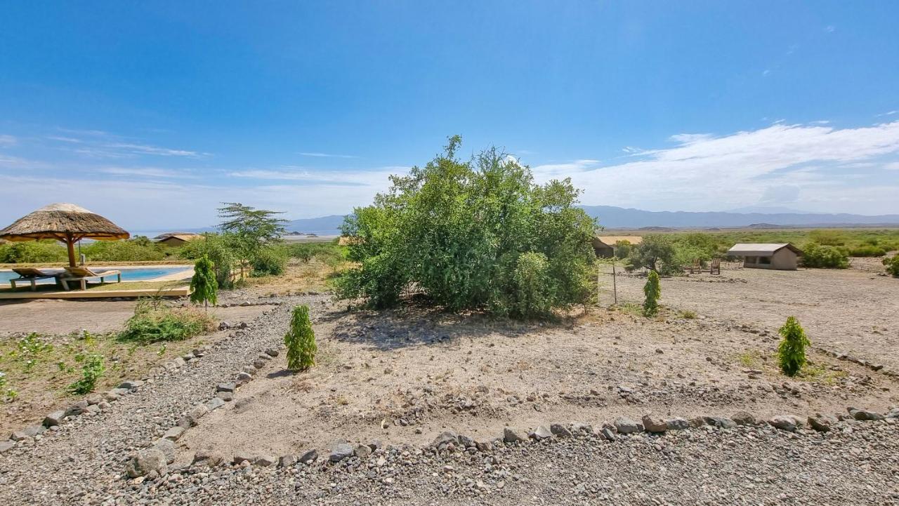 Mtowabaga Africa Safari Lake Natron Camping מראה חיצוני תמונה